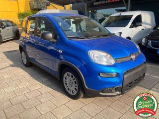 FIAT Panda usata, con Airbag laterali