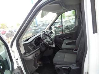 FORD Transit usata, con Fendinebbia