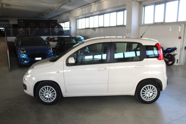 FIAT Panda usata, con Airbag Passeggero