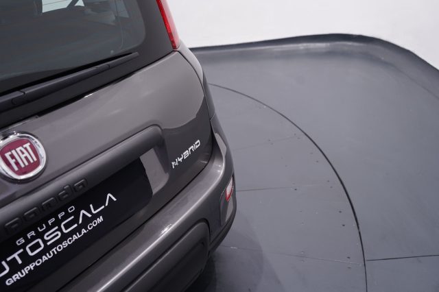 FIAT New Panda usata 25