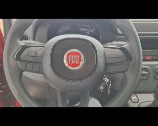 FIAT New Panda usata, con Cruise Control