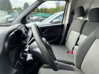 FIAT Doblo usata, con Chiusura centralizzata