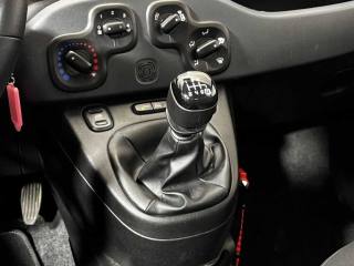 FIAT Panda usata 19
