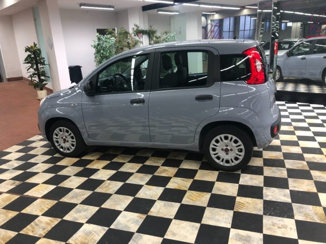 FIAT Panda usata, con Controllo trazione