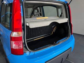 FIAT Panda usata, con Trazione integrale