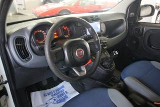 FIAT Panda usata, con Cerchi in lega