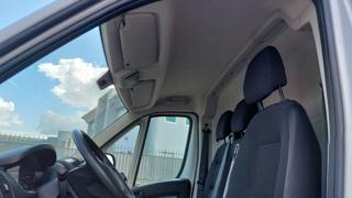 OPEL Movano usata, con Cronologia tagliandi
