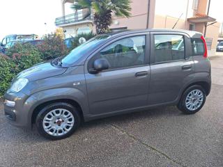 FIAT Panda usata 18
