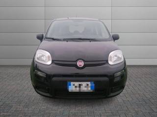 FIAT Panda usata 11