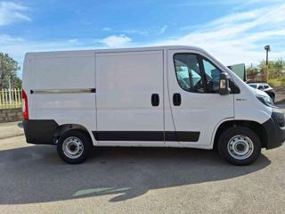 FIAT Ducato usata, con Immobilizzatore elettronico