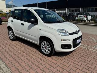 FIAT New Panda usata, con Autoradio
