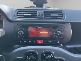 FIAT Panda usata 13