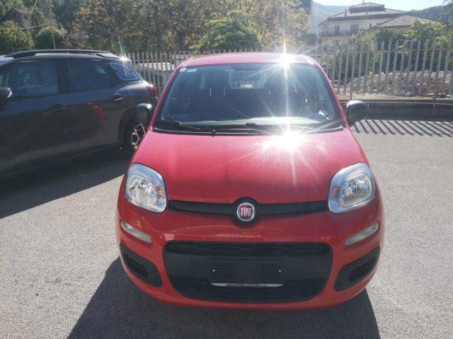 FIAT Panda usata, con Alzacristalli elettrici