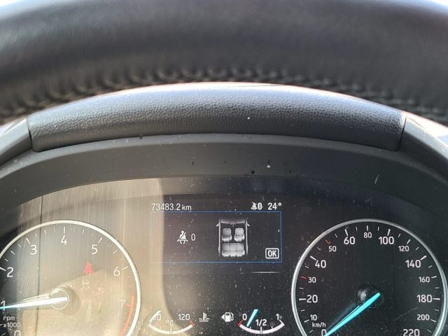 FORD EcoSport usata, con Controllo vocale
