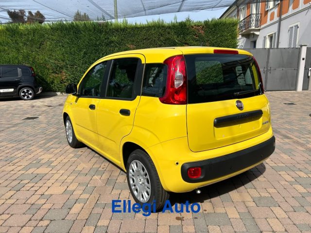 FIAT Pandina usata, con Filtro antiparticolato