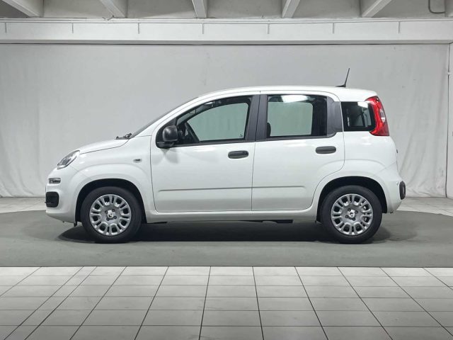 FIAT Panda usata, con Airbag