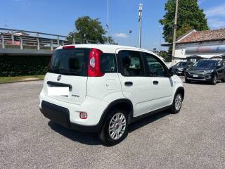 FIAT Panda usata, con Controllo trazione
