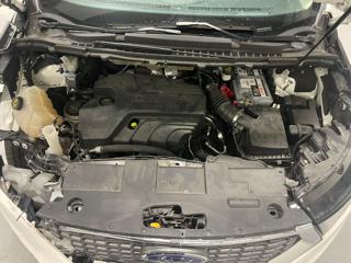 FORD Edge usata, con Cruise Control