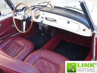 LANCIA Aurelia usata 13