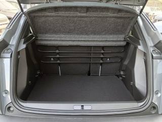 PEUGEOT 2008 usata, con Servosterzo