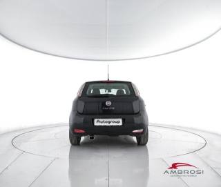 FIAT Punto usata 5