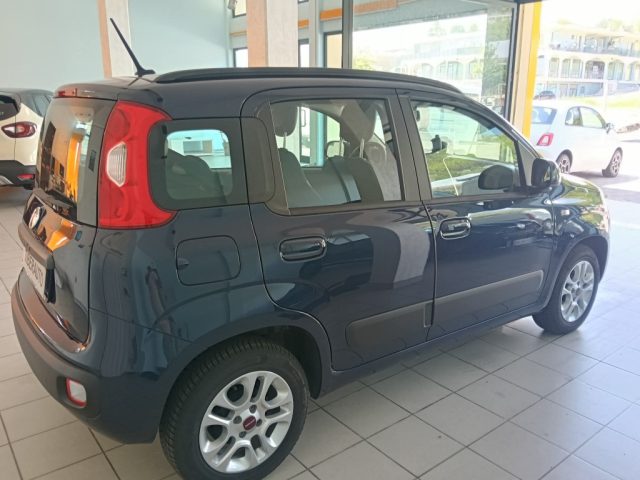 FIAT Panda usata, con Airbag Passeggero