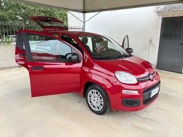 FIAT Panda usata, con Cerchioni in acciaio