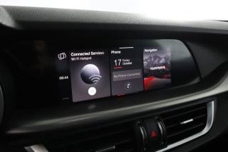 ALFA ROMEO Stelvio usata 10