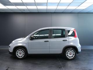 FIAT Panda usata, con Boardcomputer