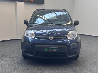 FIAT Panda usata, con Airbag Passeggero