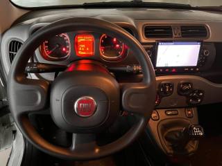 FIAT Panda Cross usata, con Climatizzatore