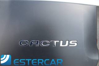 CITROEN C4 Cactus usata, con Sensore di pioggia