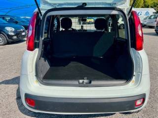 FIAT Panda usata, con Climatizzatore