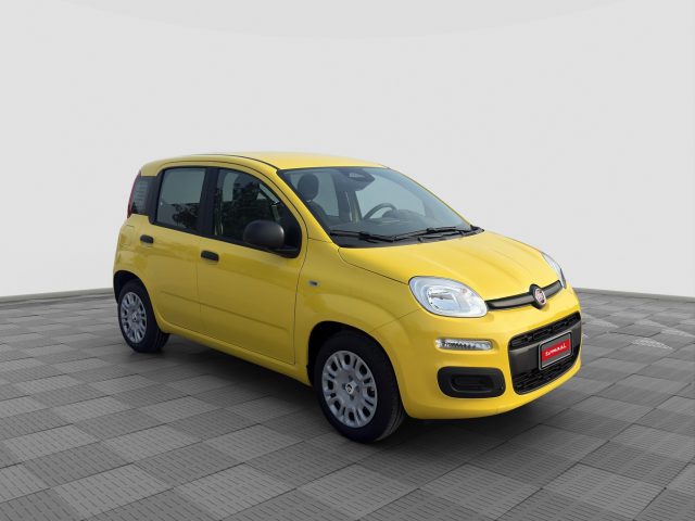FIAT Panda usata 7