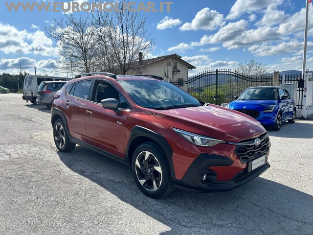SUBARU Crosstrek usata 19