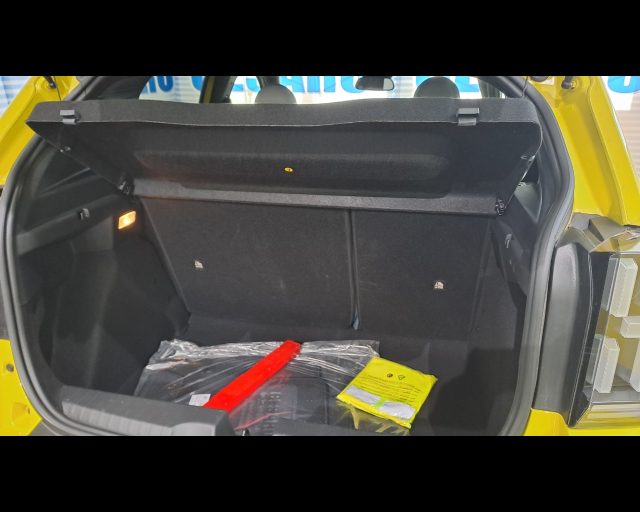 FIAT Grande Panda usata, con Controllo elettronico della corsia