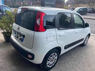 FIAT Panda usata, con Airbag