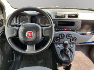 FIAT Panda usata 8