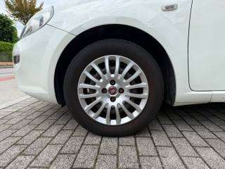 FIAT Punto usata 15