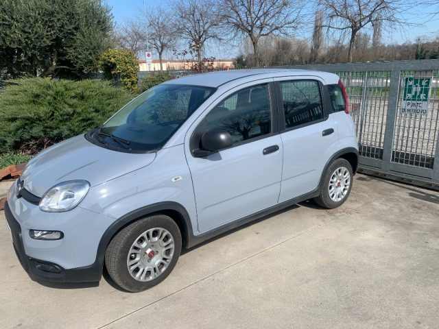 FIAT Panda usata, con Airbag Passeggero