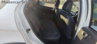 FORD EcoSport usata, con Fendinebbia