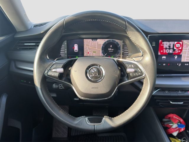 SKODA Octavia usata 12