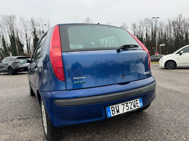 FIAT Punto usata, con Chiusura centralizzata