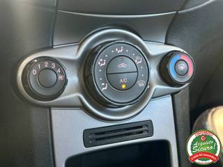 FORD Fiesta usata, con Cronologia tagliandi