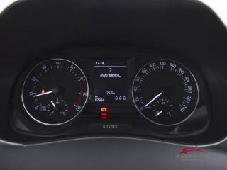 SKODA Fabia usata 12