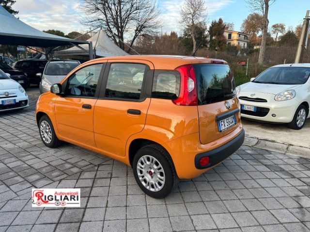 FIAT Panda usata 3