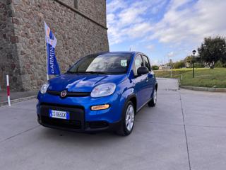 FIAT Panda usata 46