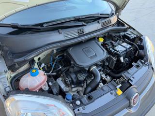 FIAT Panda usata 28