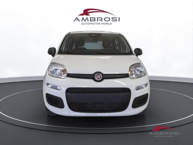 FIAT Panda usata 5