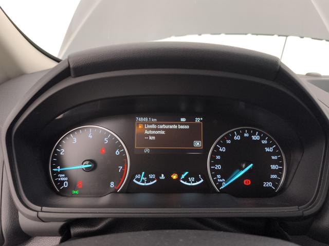 FORD EcoSport usata, con Cruise Control